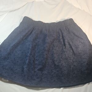 The Webster at Target Navy Mini Skirt
